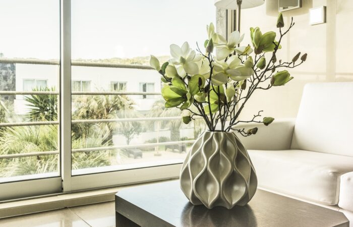 Amener_la_nature_dans_votre_chambre_:_les_plantes_d_intérieur_qu_il_vous_faut